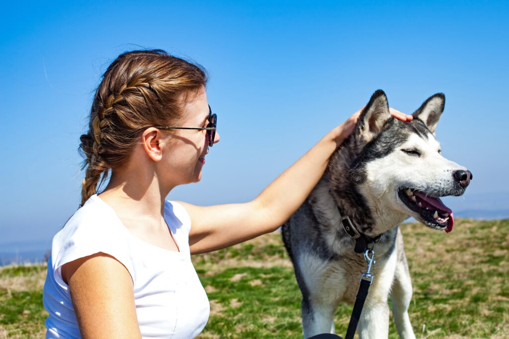 hiking with huskies in Norway