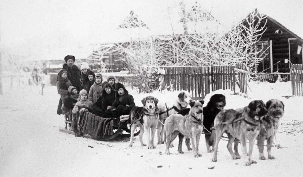 history dog sledding Norway